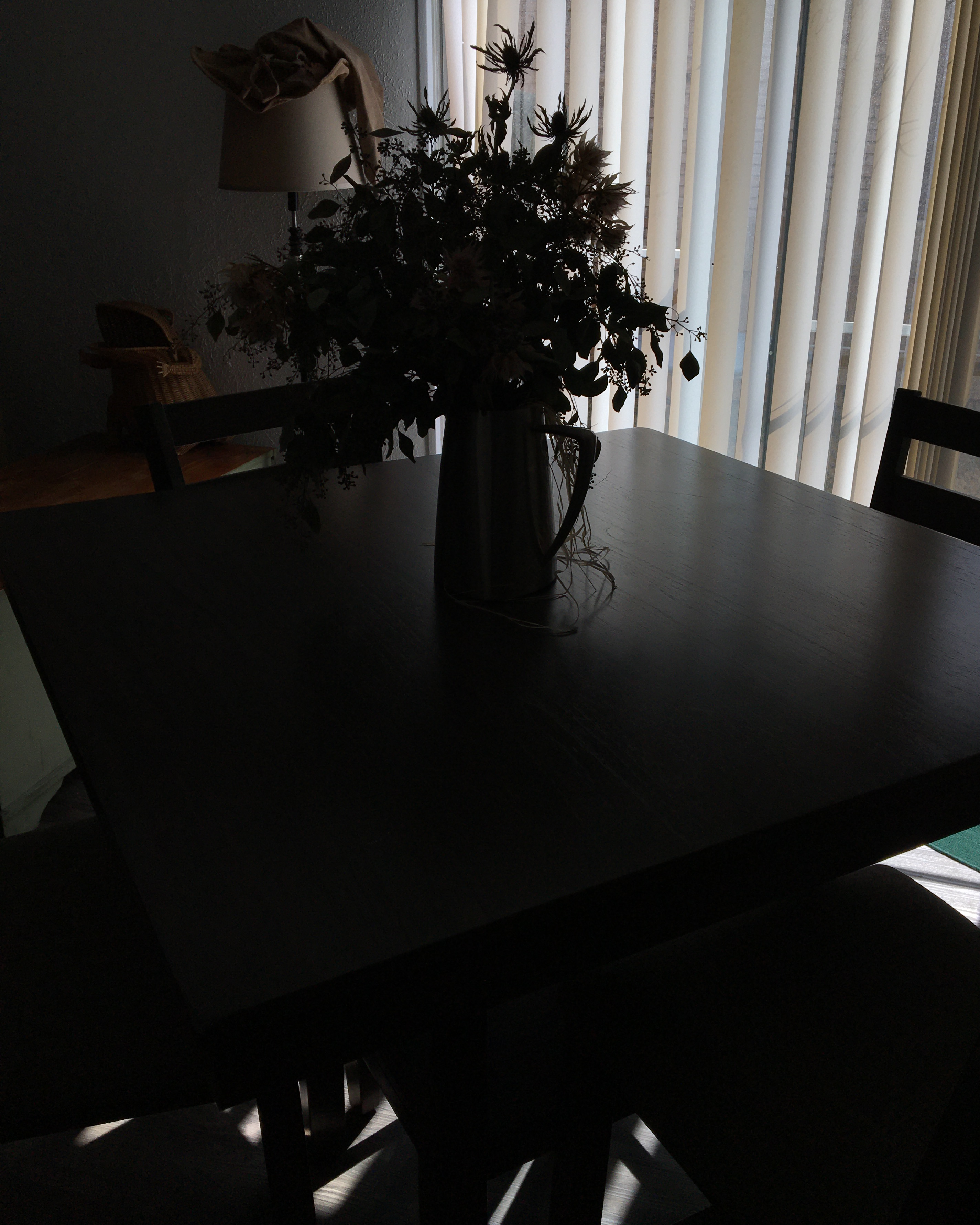 shadowy silhouette of a bouqet of spiky flowers set on a kitchen table in the foreground, as diffused soft daylight filters through verticle blinds in background, casting sparse shadows across the table and floor