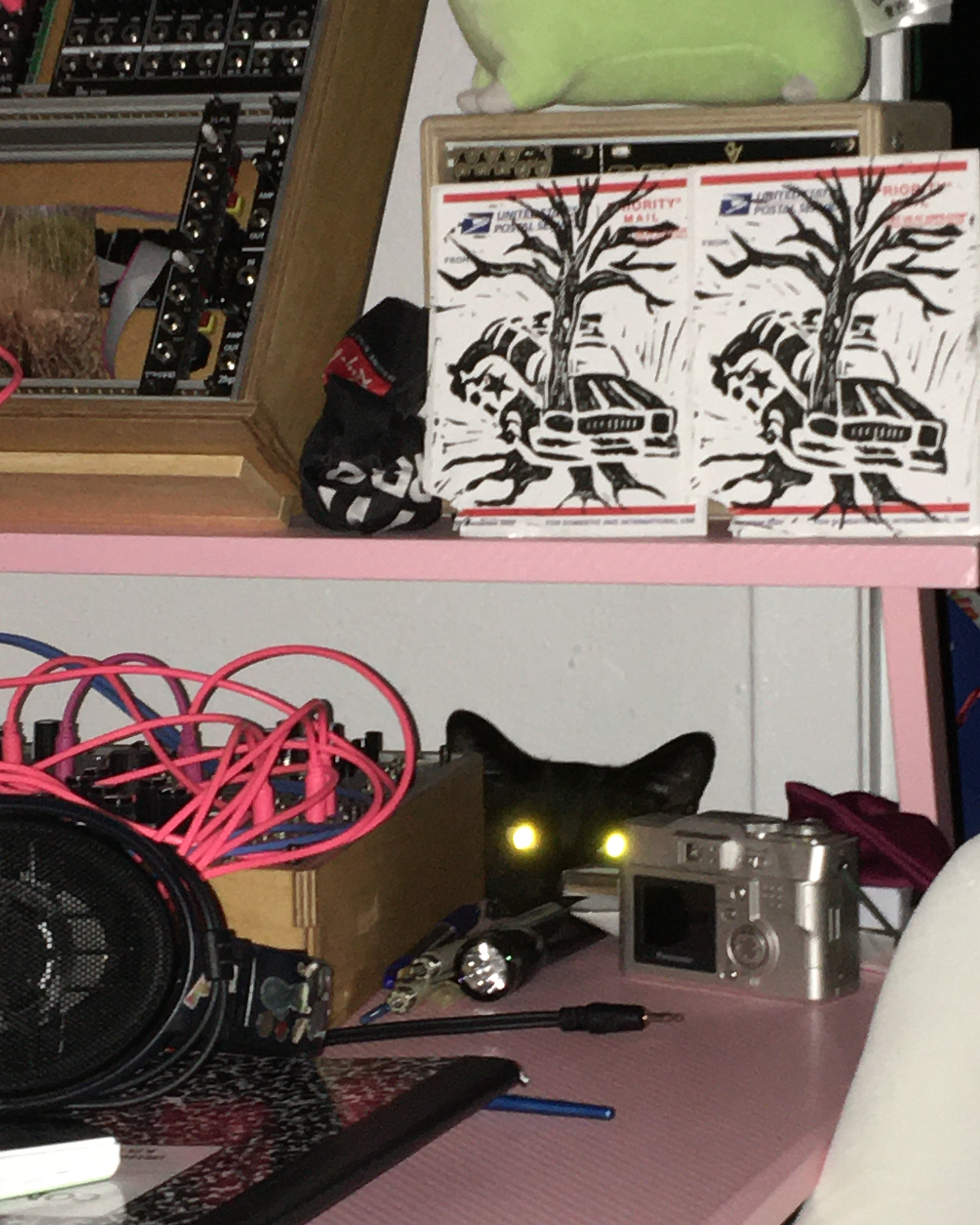 photo of a desktop covered in modular synthesizers & strewn wires, with a black cat's eyes illumanated by the camera flash in the background