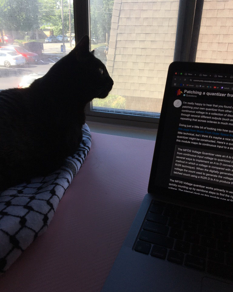 cat sitting on desk staring out of an open window next to a laptop
