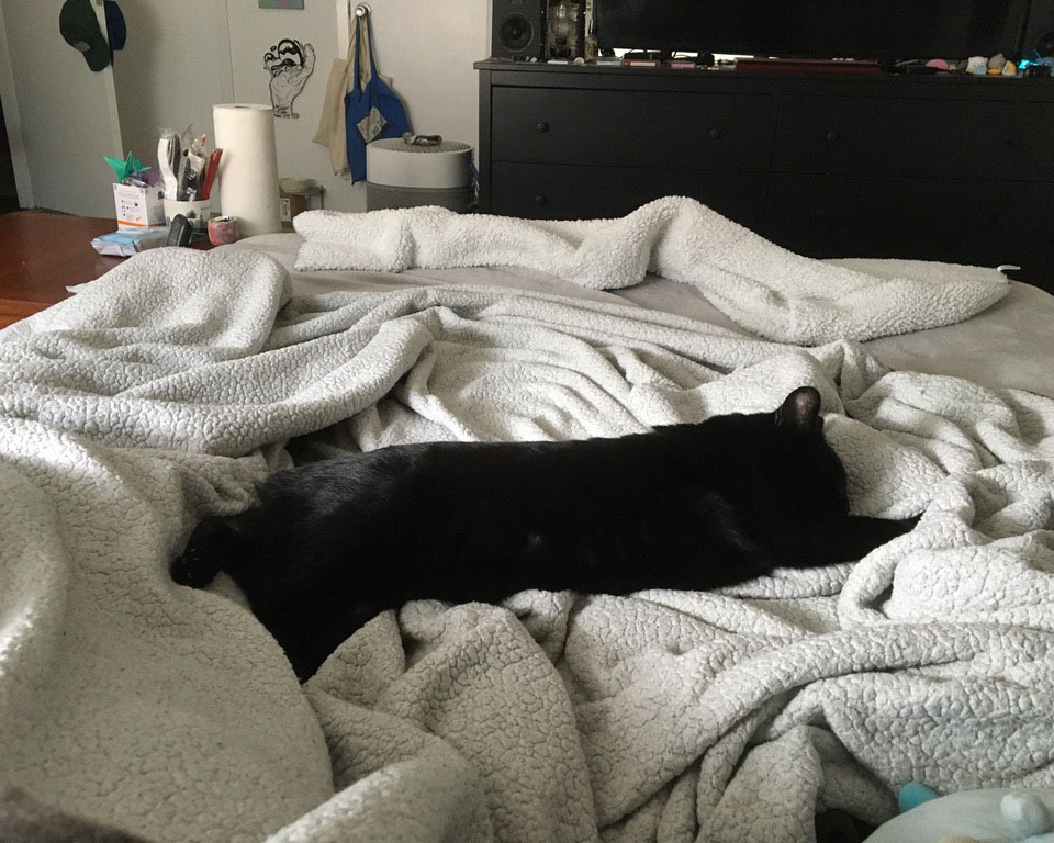 black cat stretched out the entire width of a bed, asleep