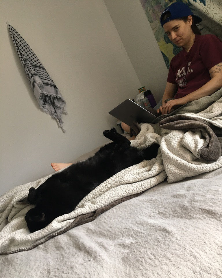 black cat lying on its back stretched out