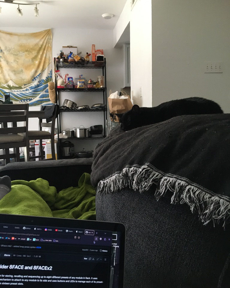 black cat asleep on top of couch as someone works on laptop