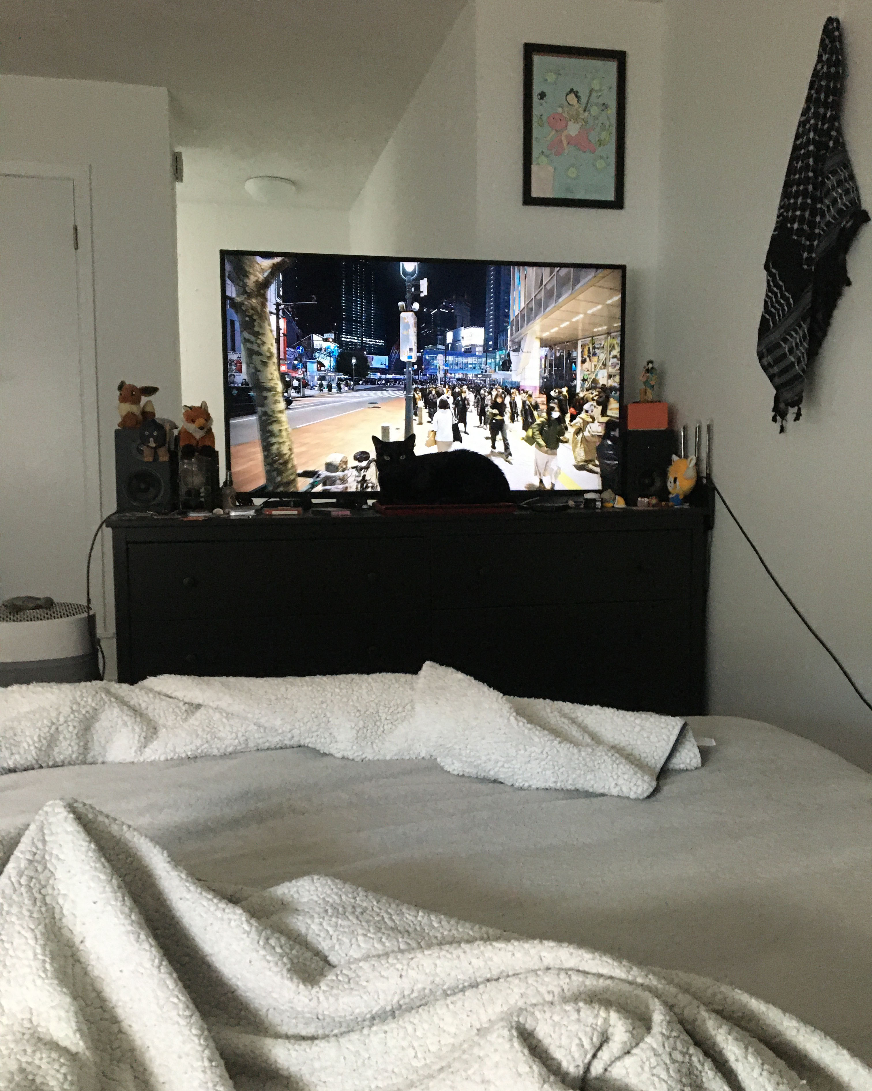 cat sitting on a closed laptop directly in front of a tv