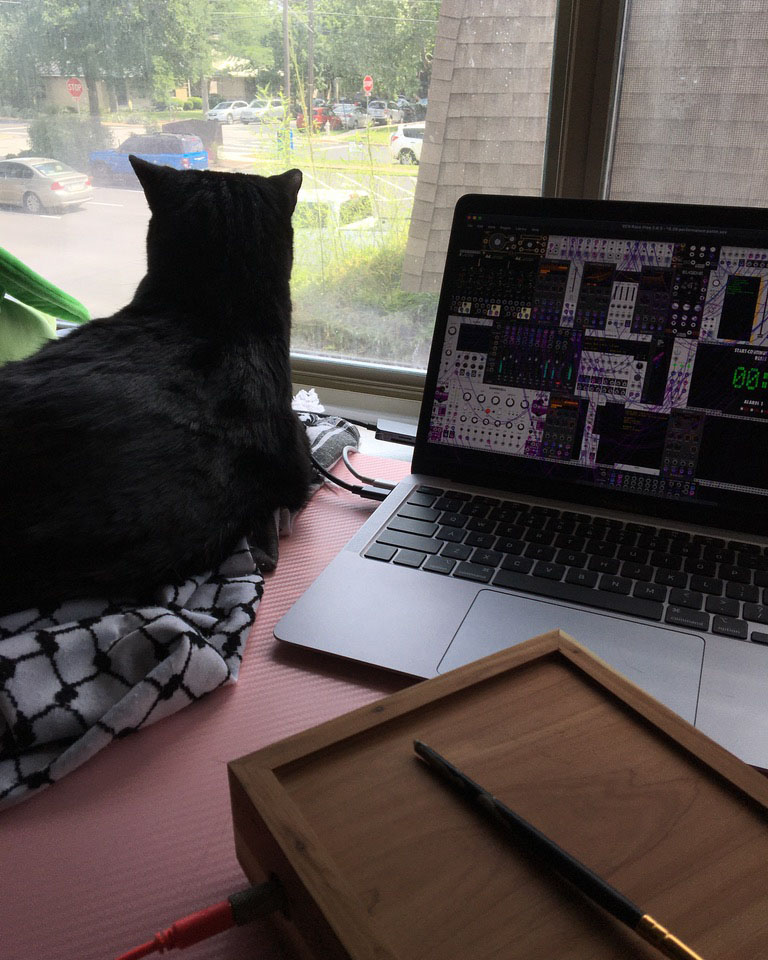 cat on desk next to a laptop, looking out an open window